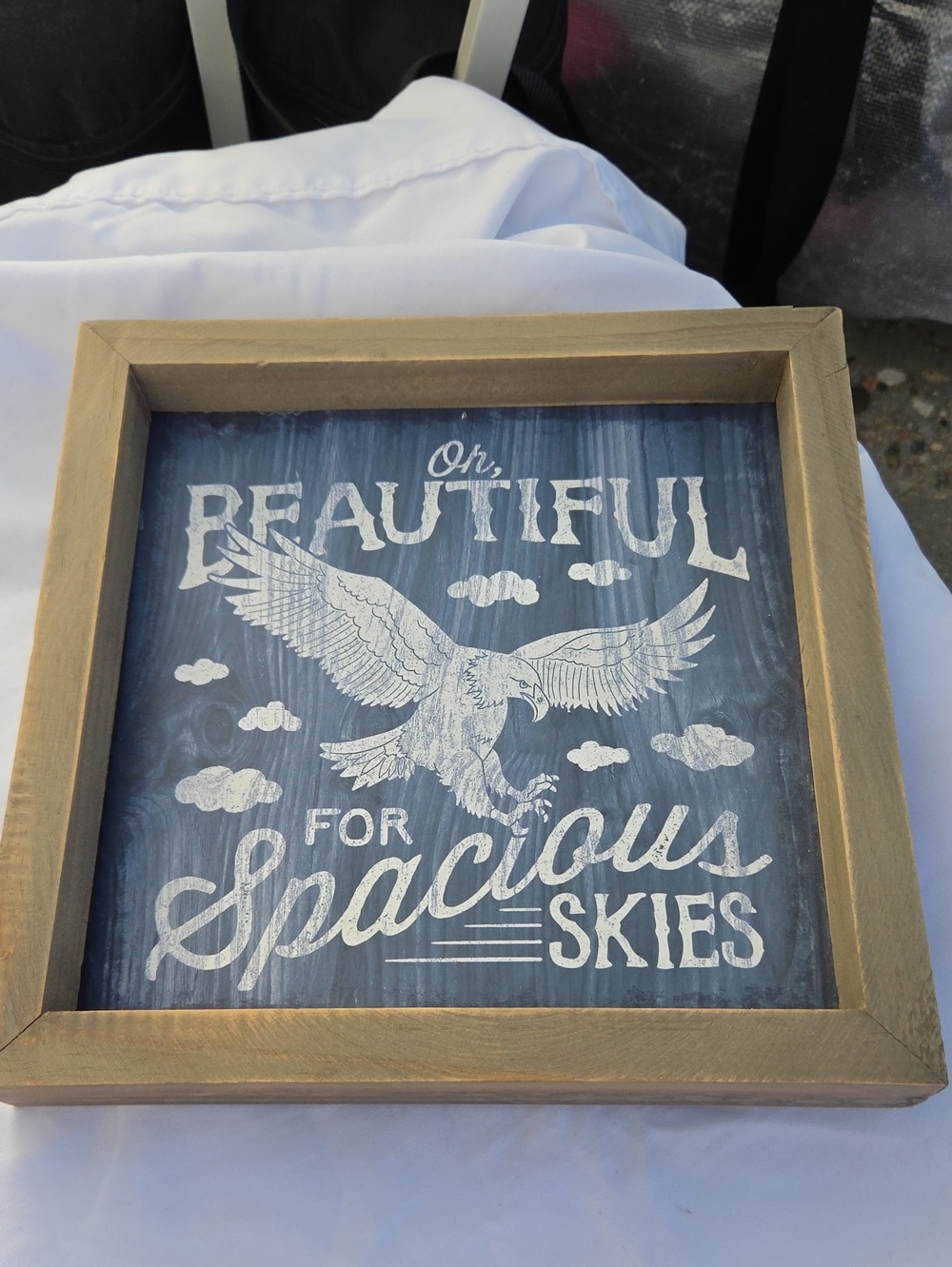 Hobby Lobby Blue and White 'Oh, Beautiful for Spacious Skies' Framed Wall Art